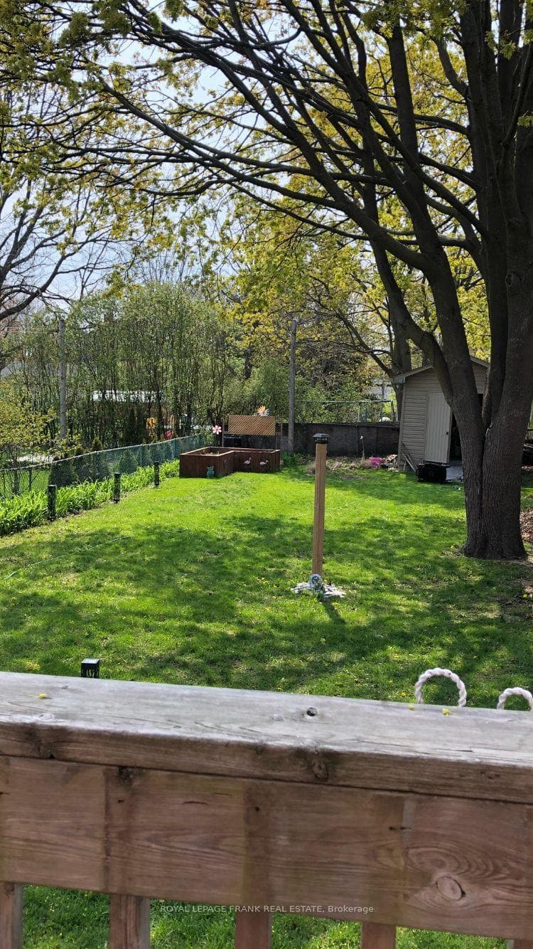 Yard In Summer