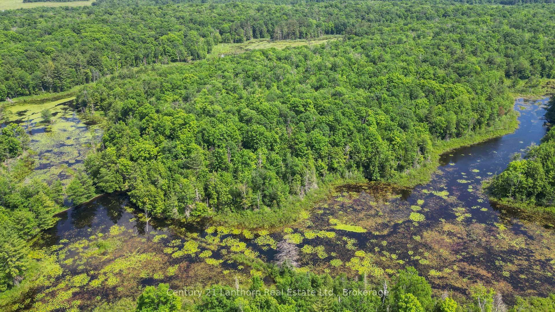 932 Hunt Club Road photo 45