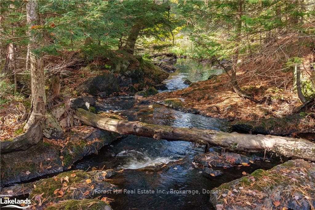 1482 BEAVER LAKE Road photo 25