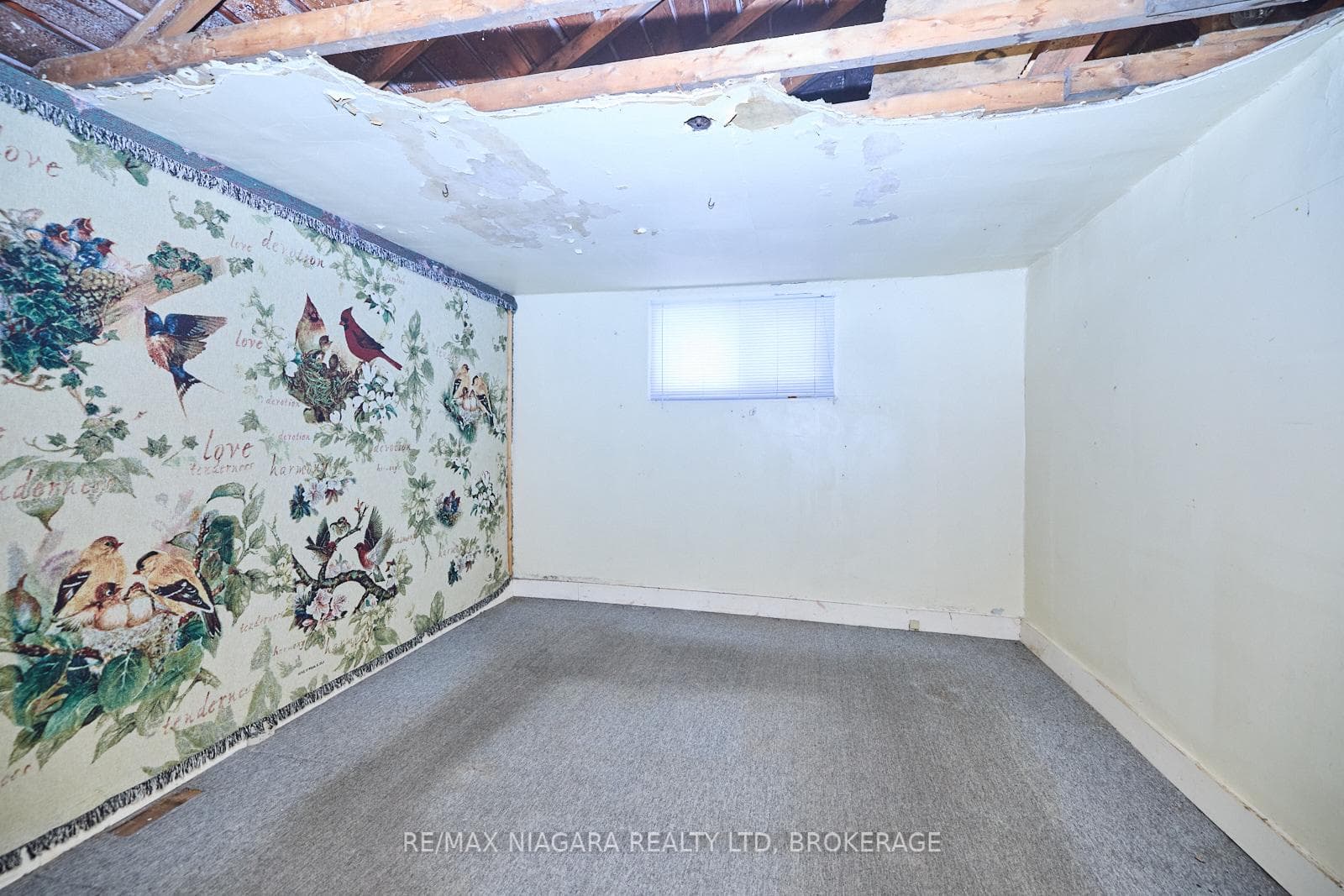 84 Alma Street photo 14