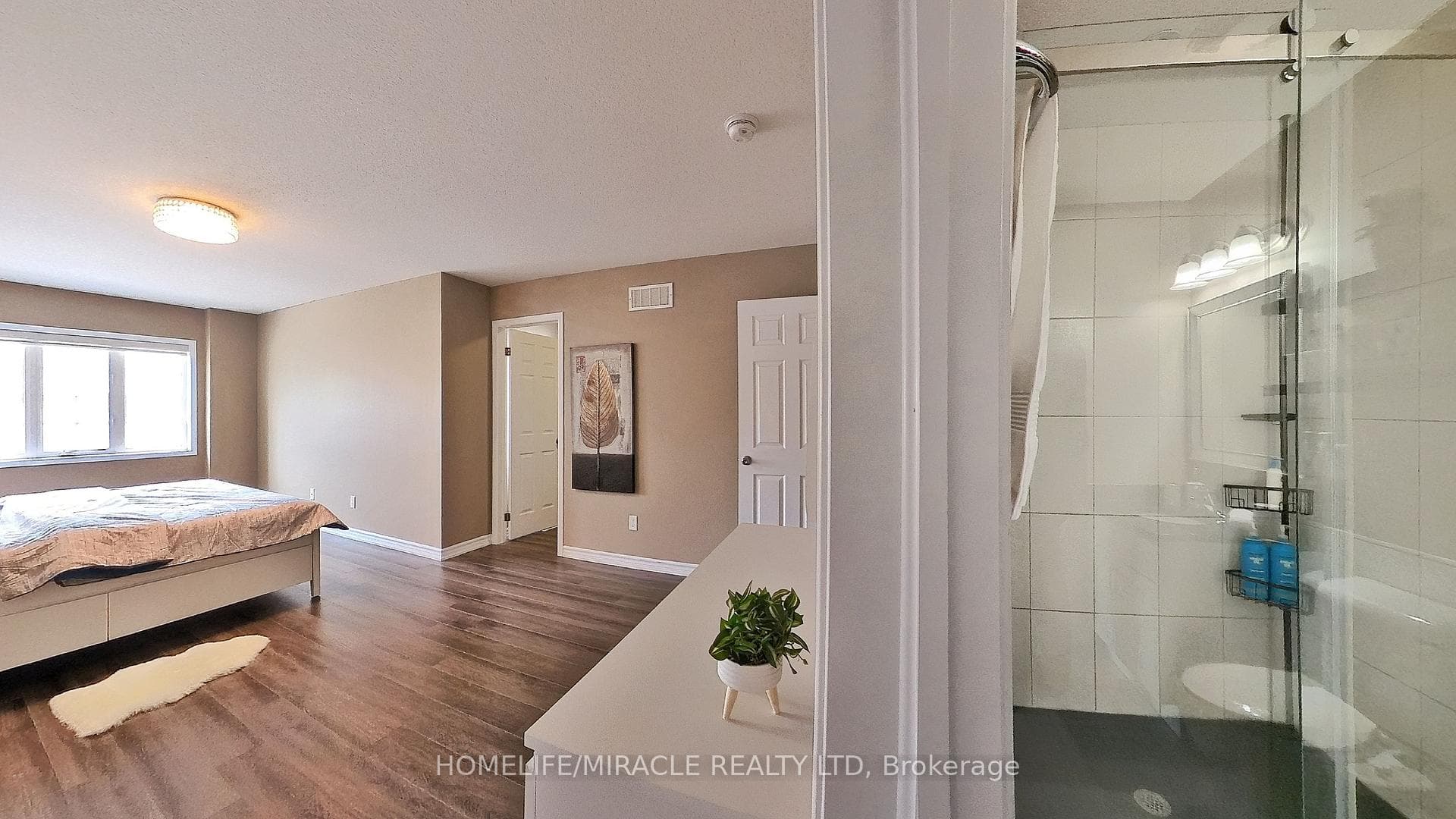 66 Meadowridge Street photo 27