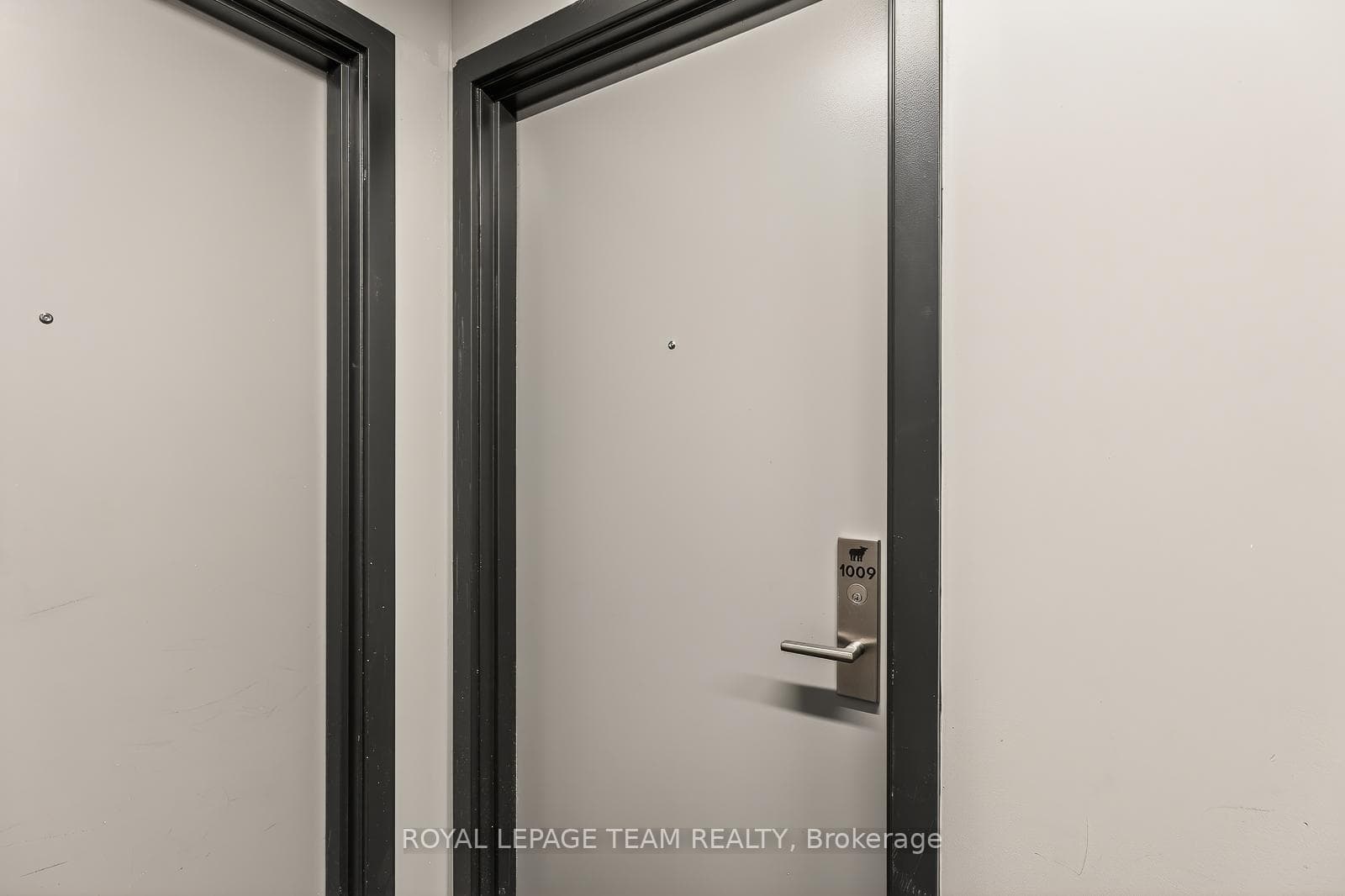 203 CATHERINE Street Unit 1009 photo 25