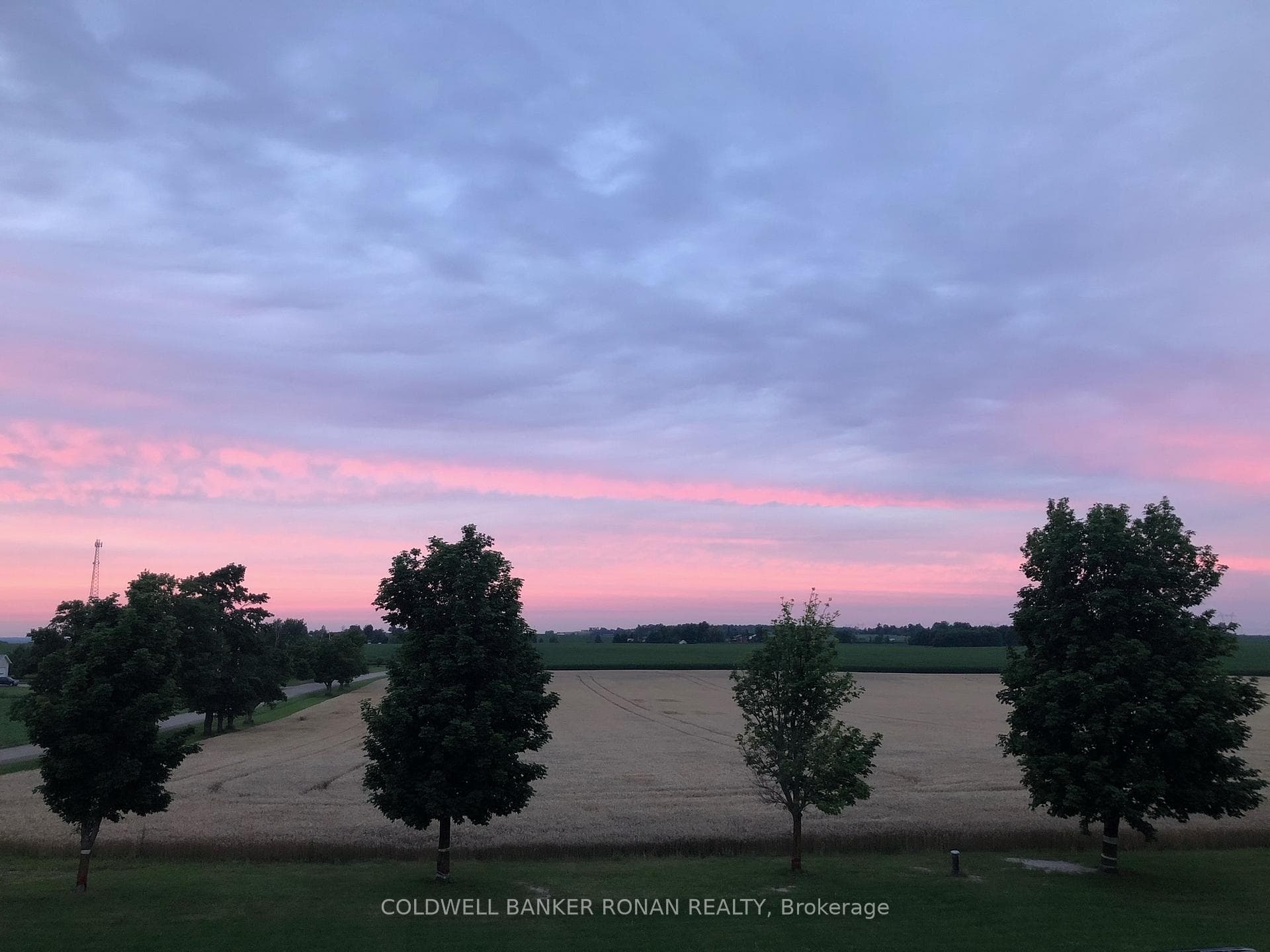 4729 Sideroad 15 N/A photo 29