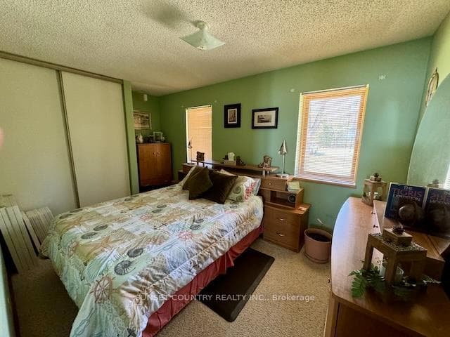 16 Willow Court photo 13