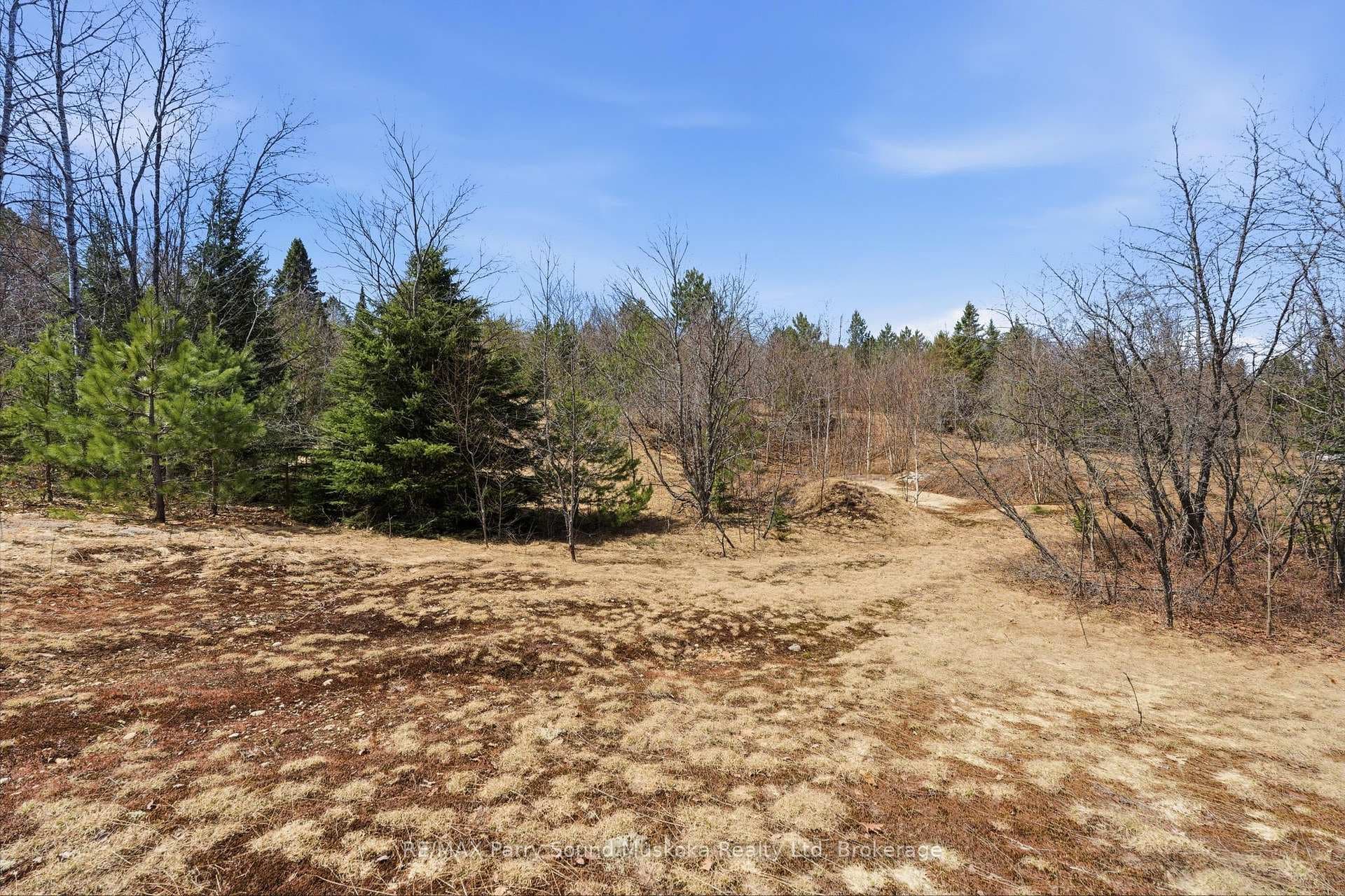 737 Starratt Road photo 13