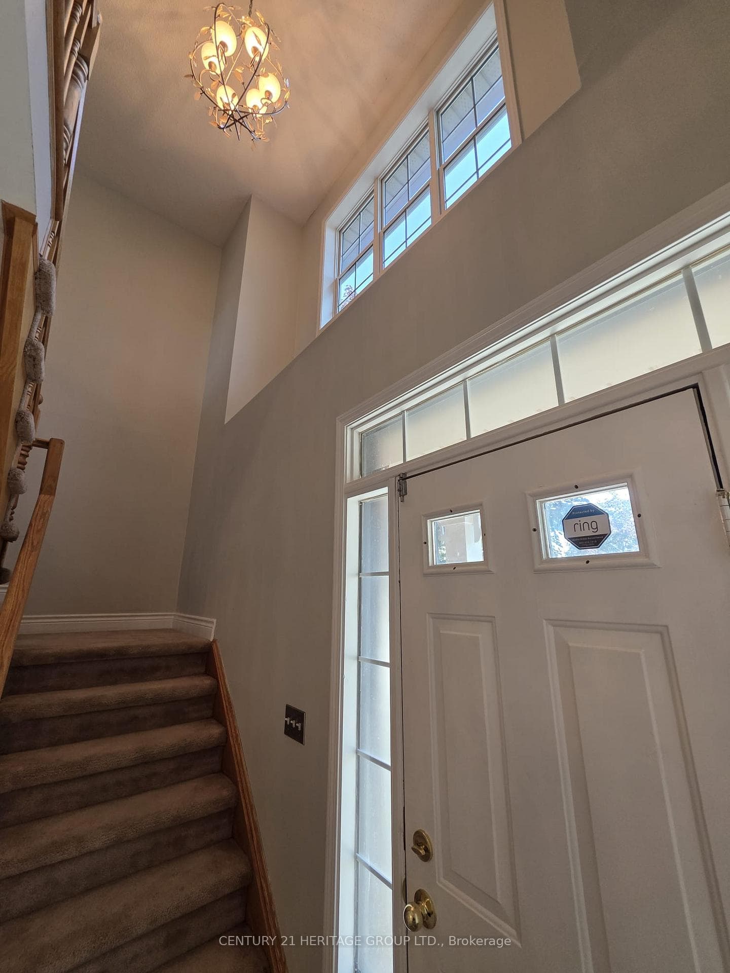 52 Brock Drive photo 12