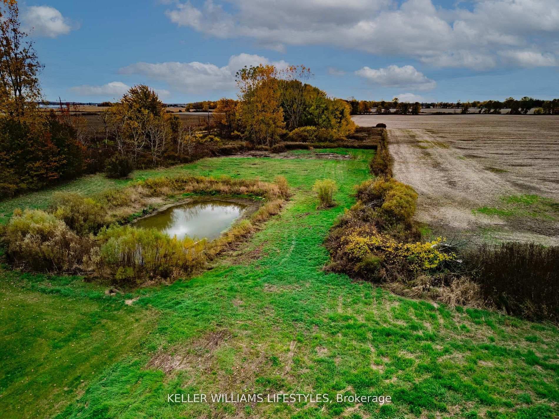 22681 Thames Road photo 10