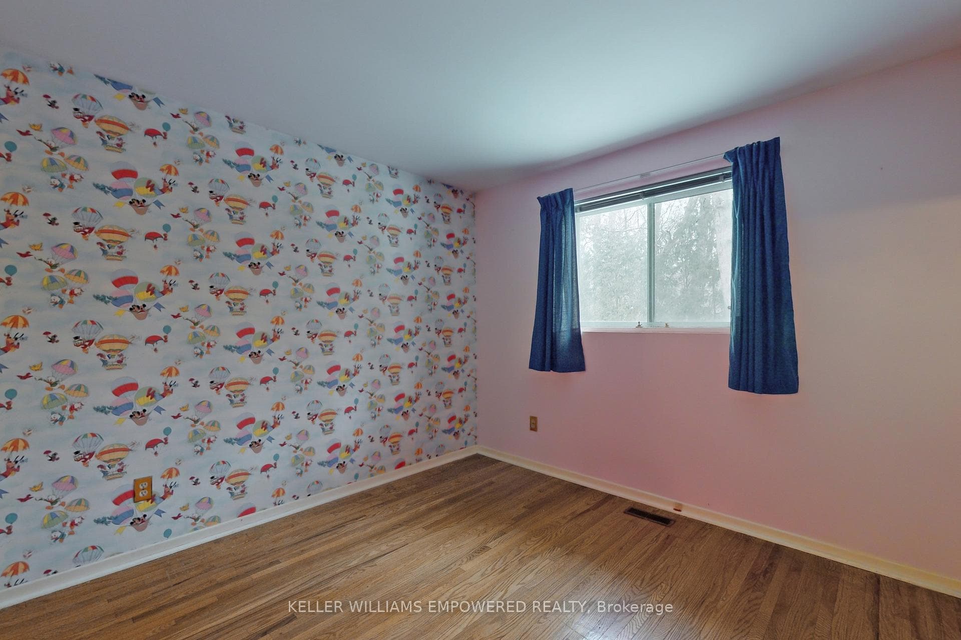 46 Hill Drive photo 25