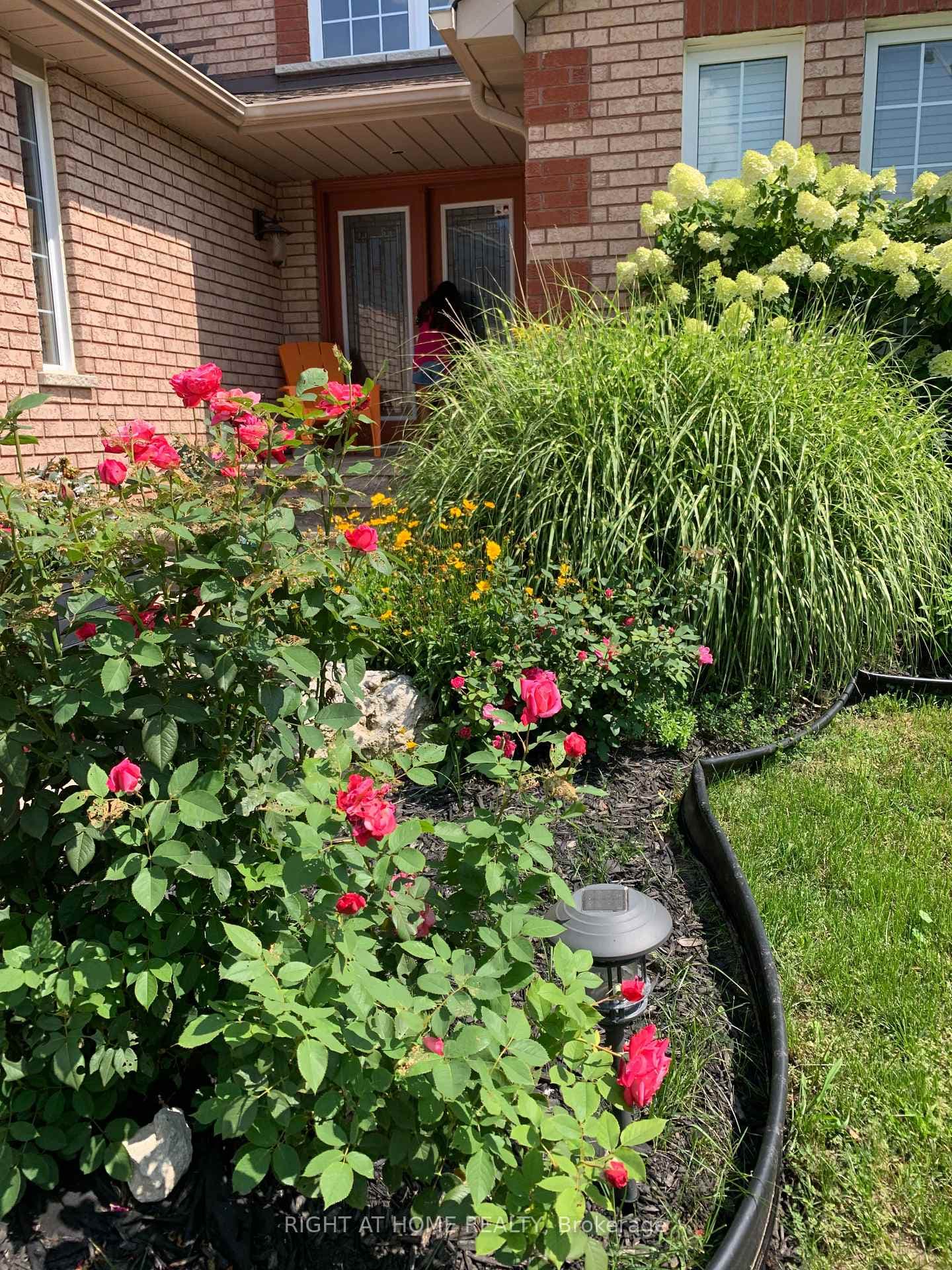 Front yard