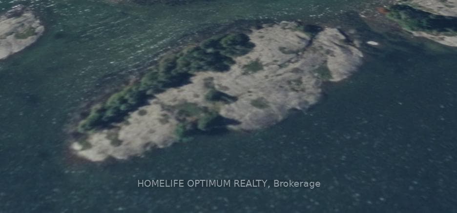 0.7 Acre Island Huron Shores N/A photo 4