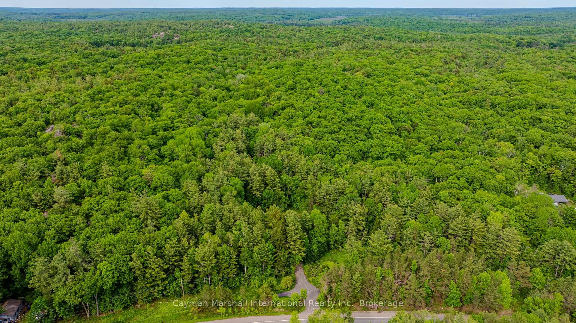 2682 Muskoka District 118 Road photo 3