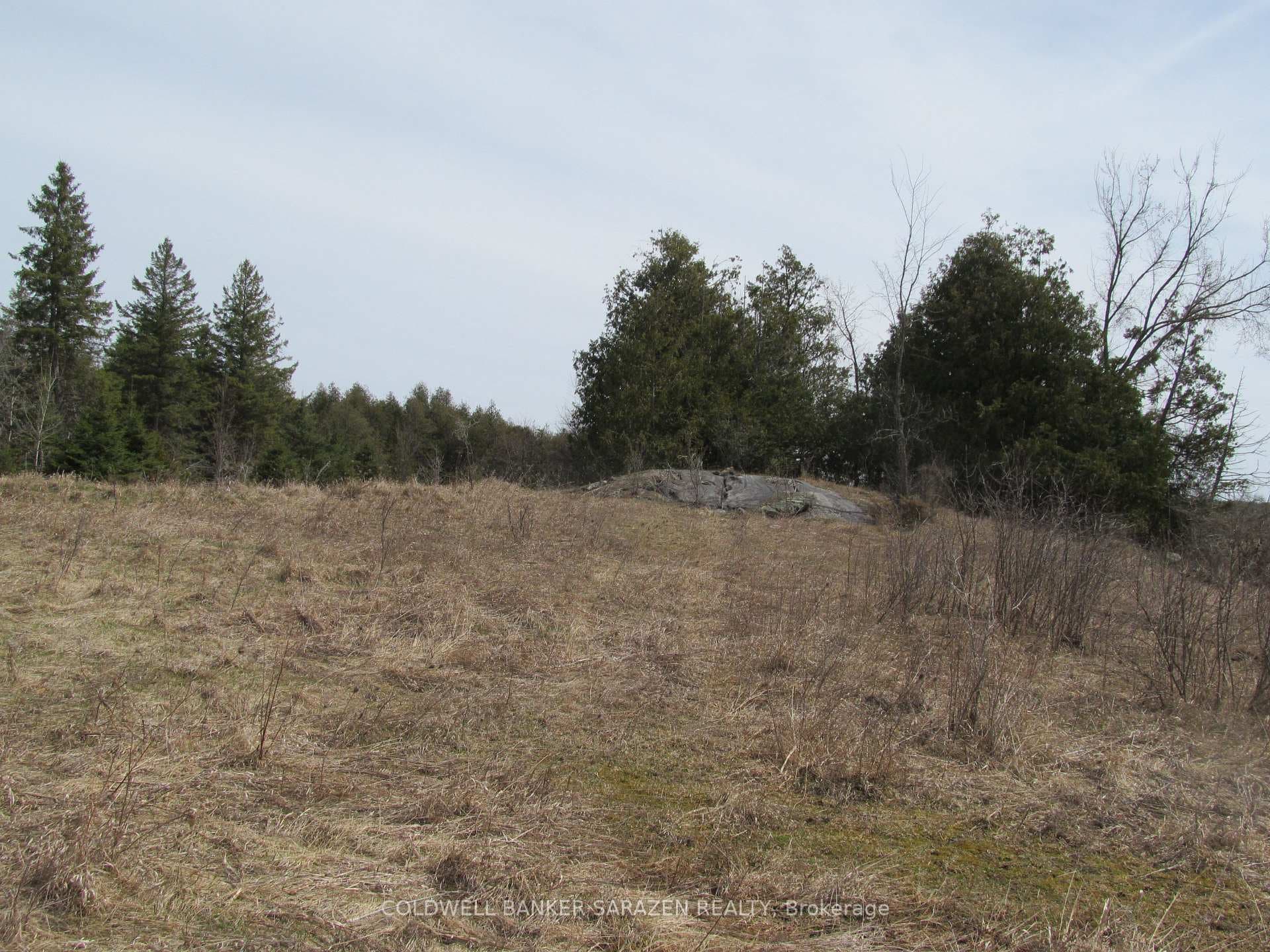 549 Kippen Road photo 11