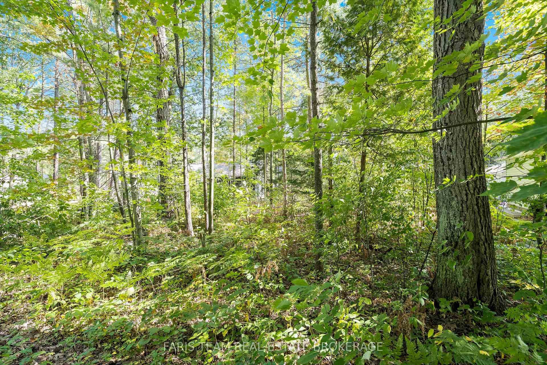 Lot 9 James Street photo 12