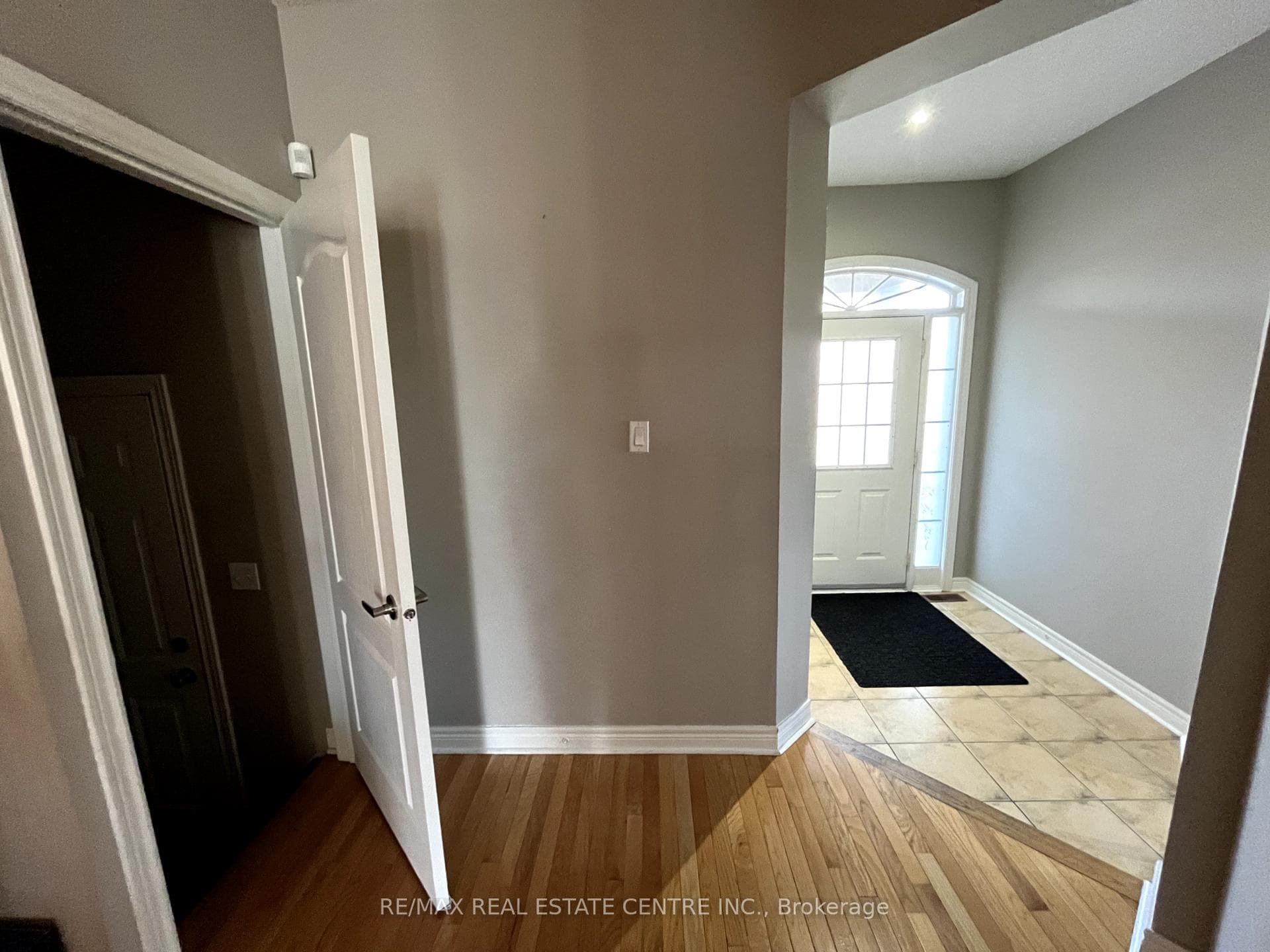7388 Allspice Trail photo 15