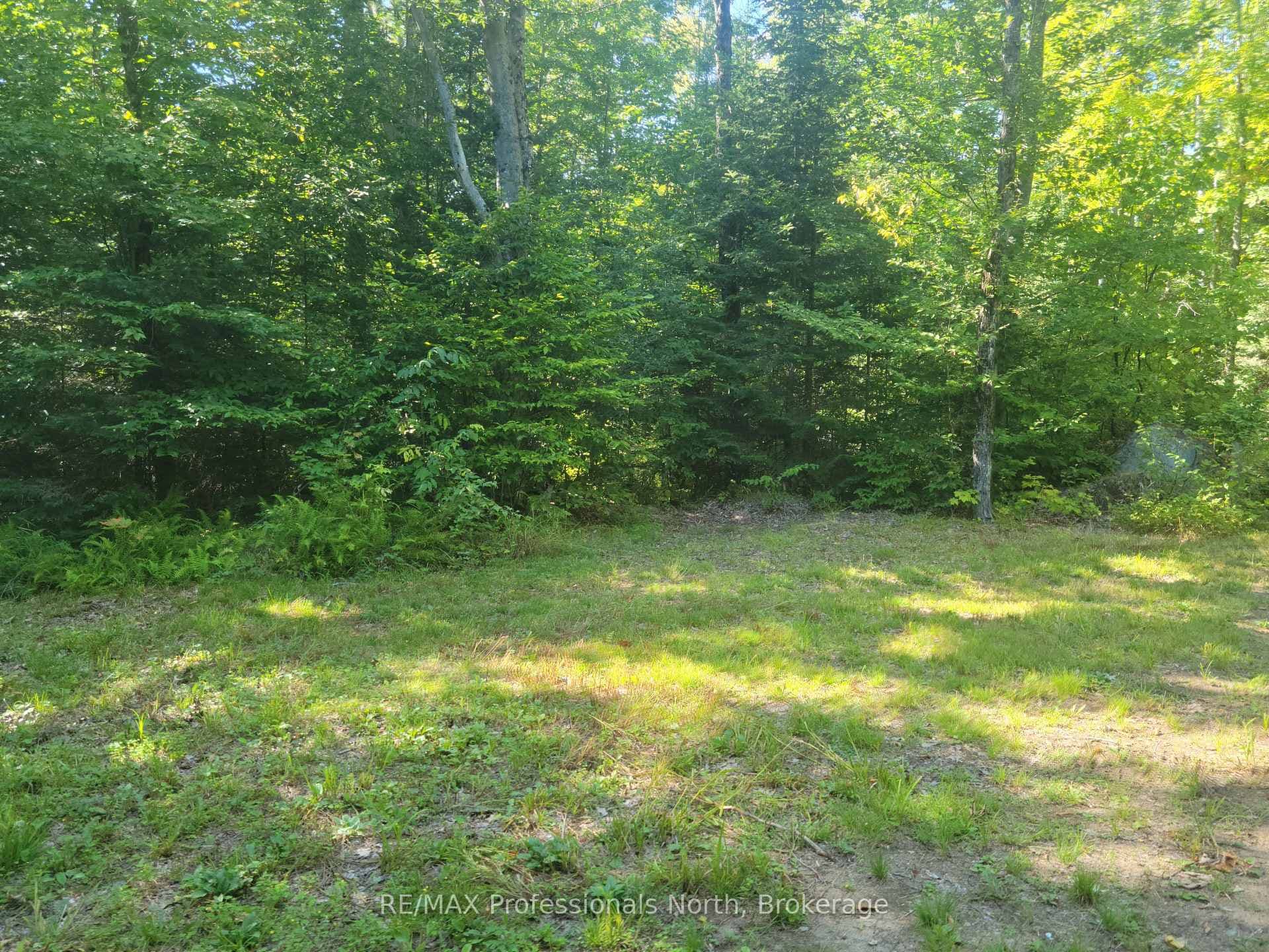 364 FORESTRY TOWER Road photo 34