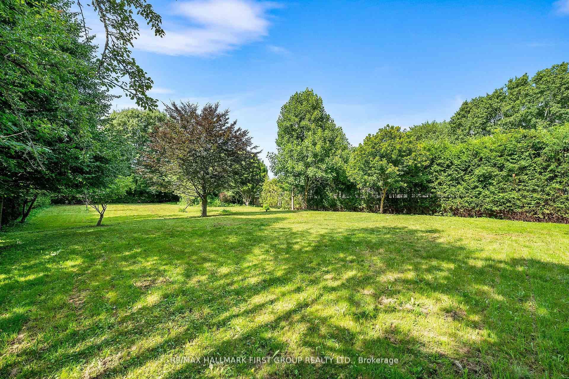 Rear Yard