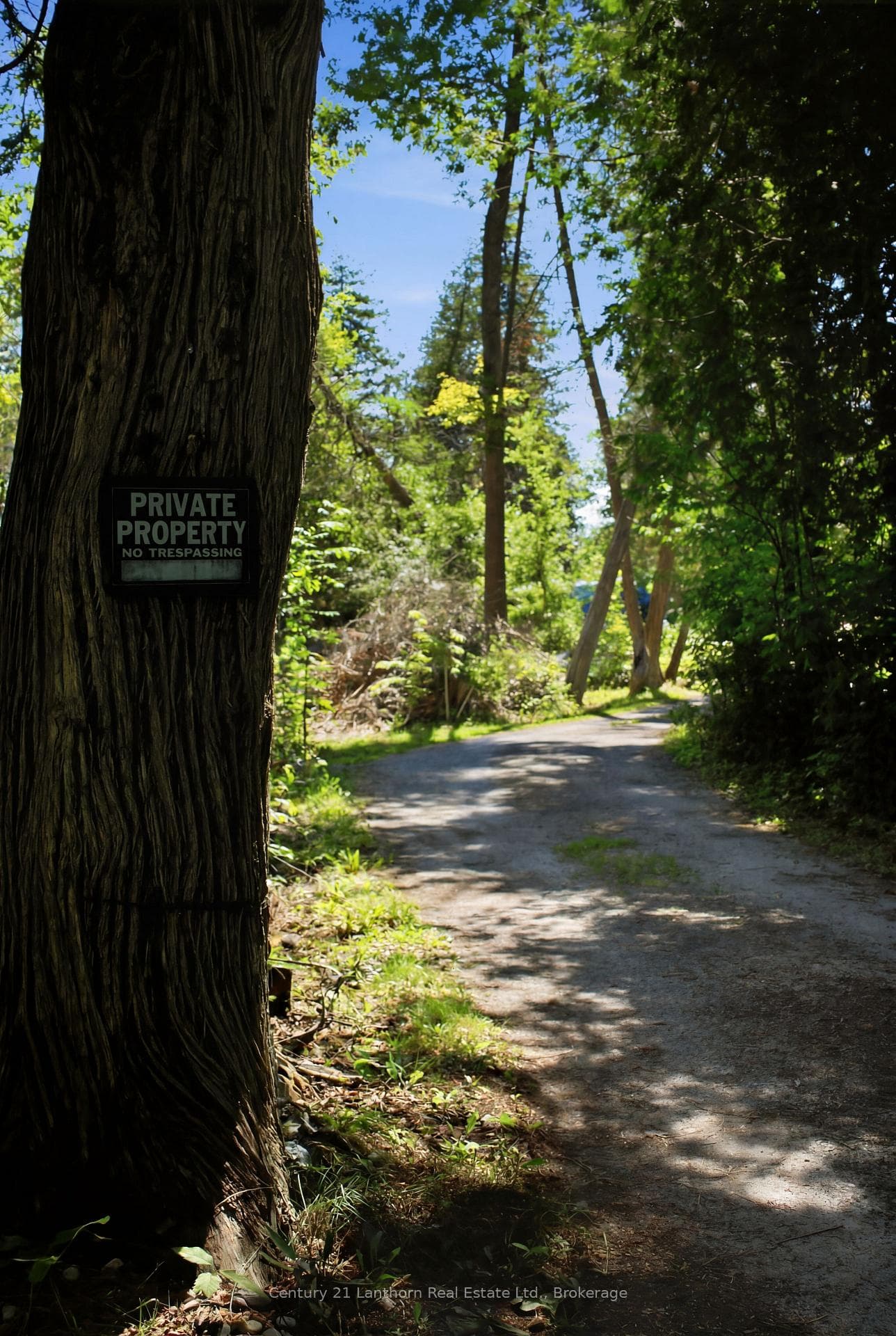 Within Sandbanks Provincial Park