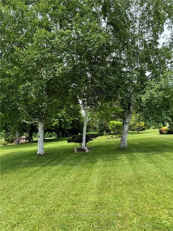 186 COUNTY RD 8 Road photo 29