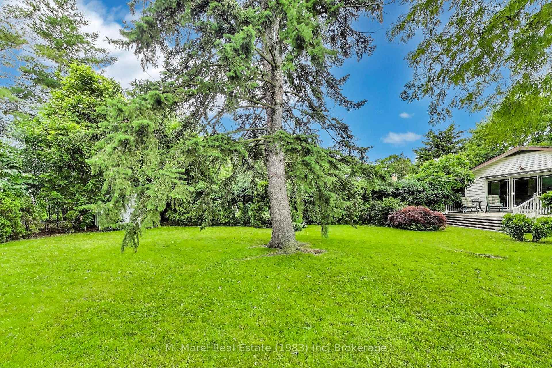 9 Avalon Avenue photo 35
