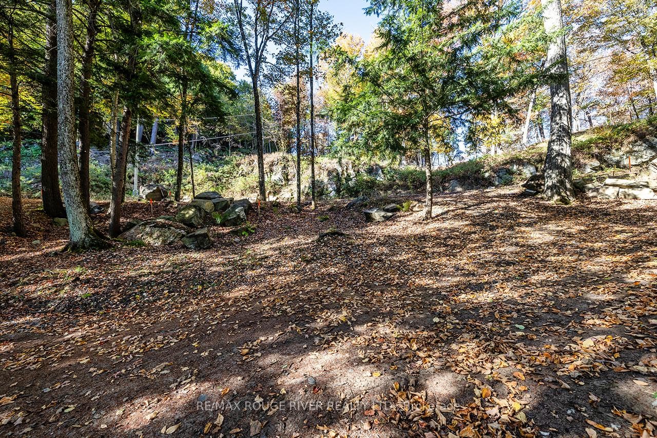 0 Thompson Portage Road photo 22