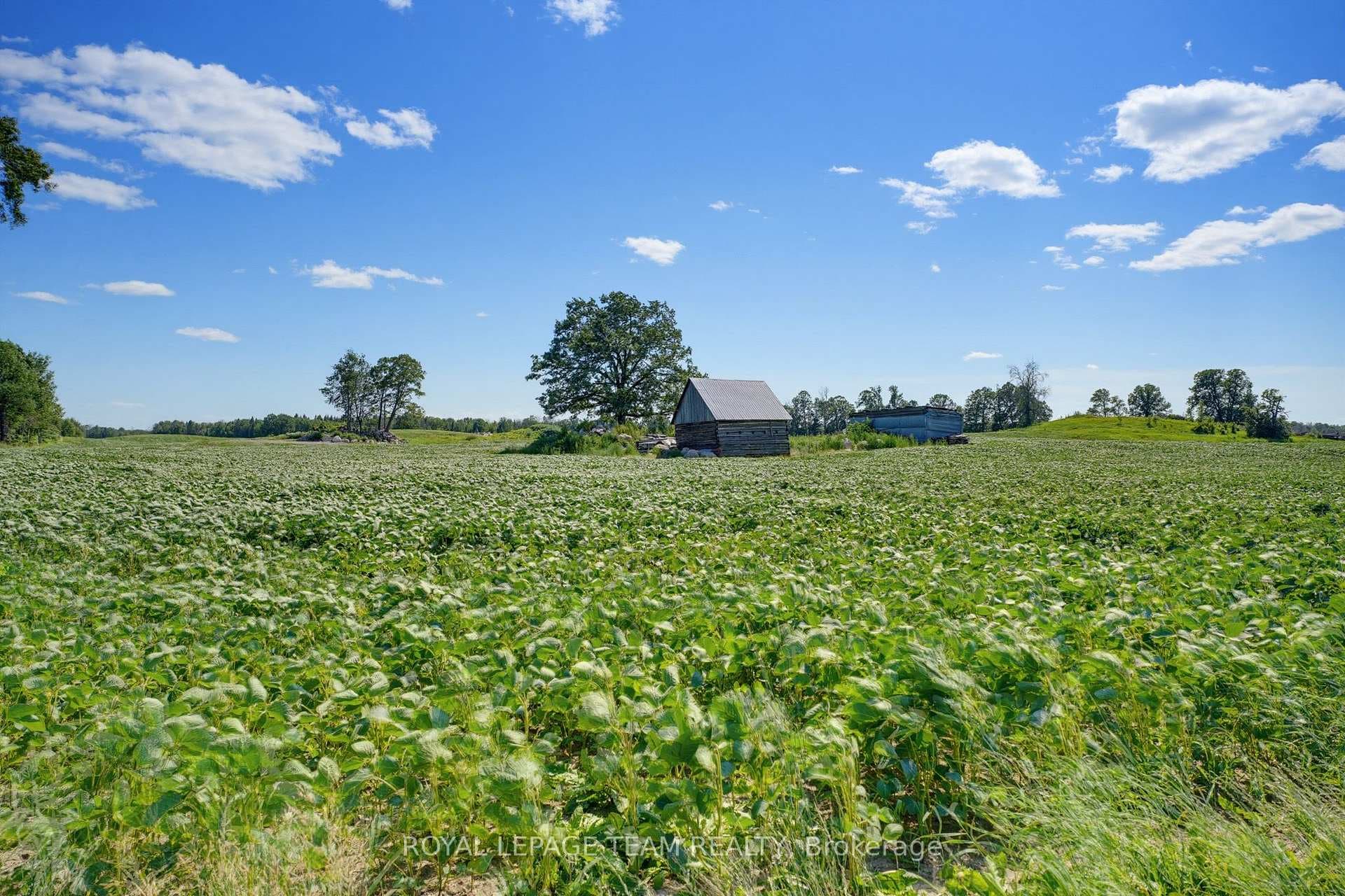 547 MALLOY Road photo 37