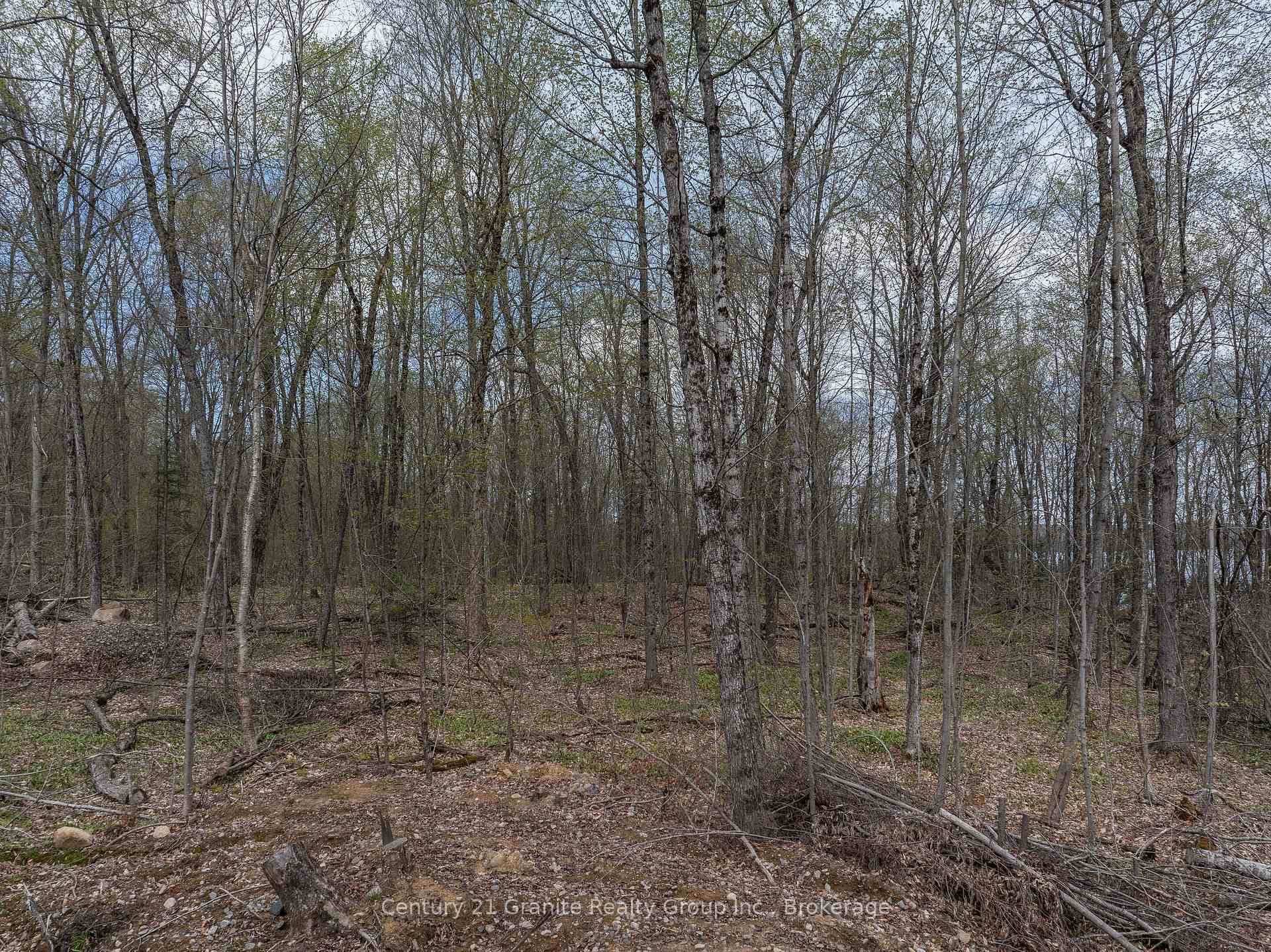 0 Wilkinson Road photo 13