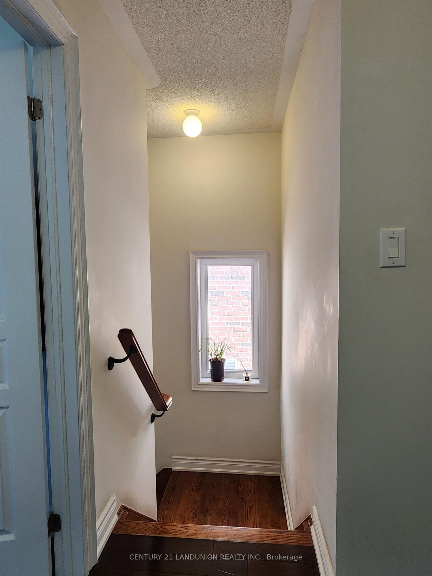 35 Goldthread Terrace photo 13