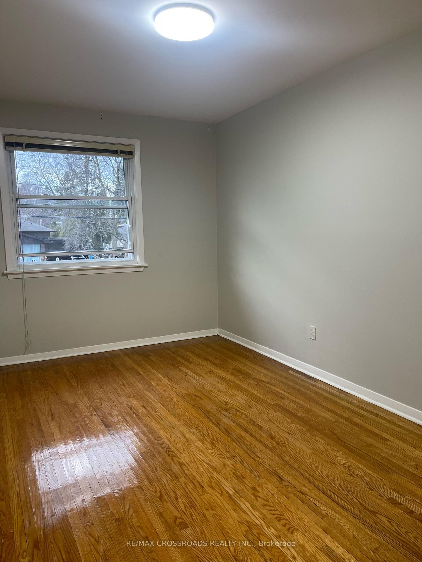 53 Alpaca Drive photo 9