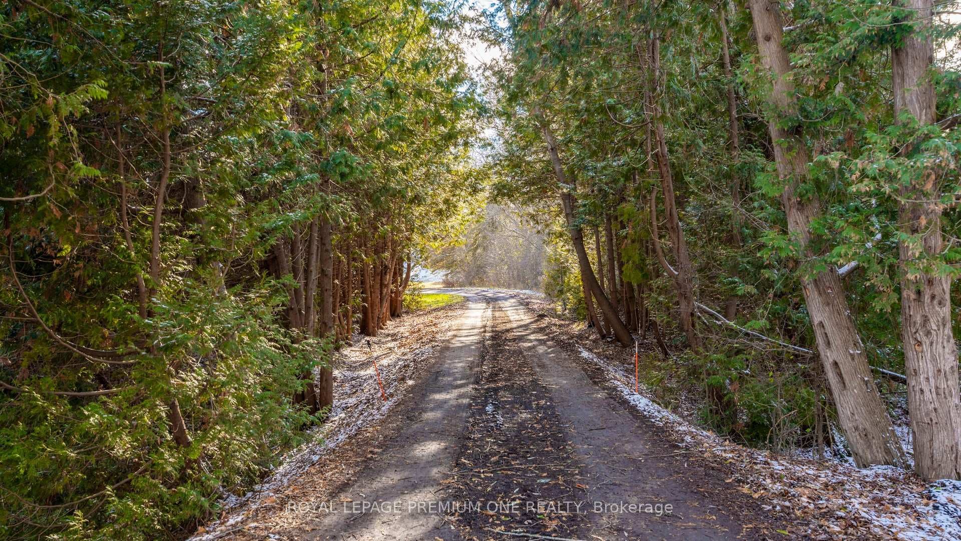 7590 19th Side Road photo 50