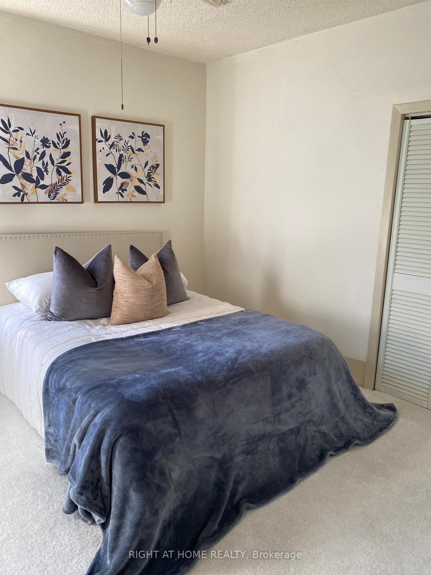 51 Frederick Street photo 25