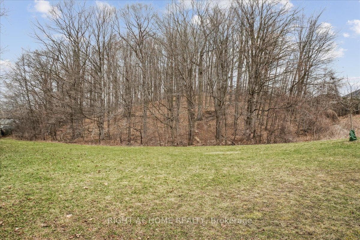 Greenspace behind house