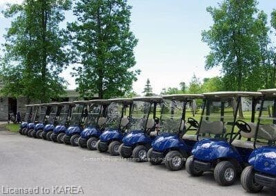 76 ABBEY DAWN Drive photo 49