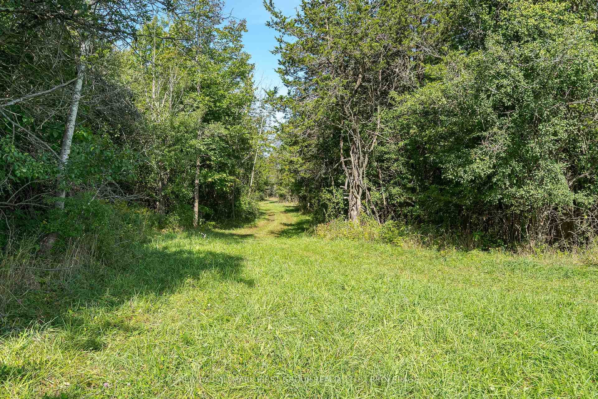 2018 County Road 9 Road photo 35