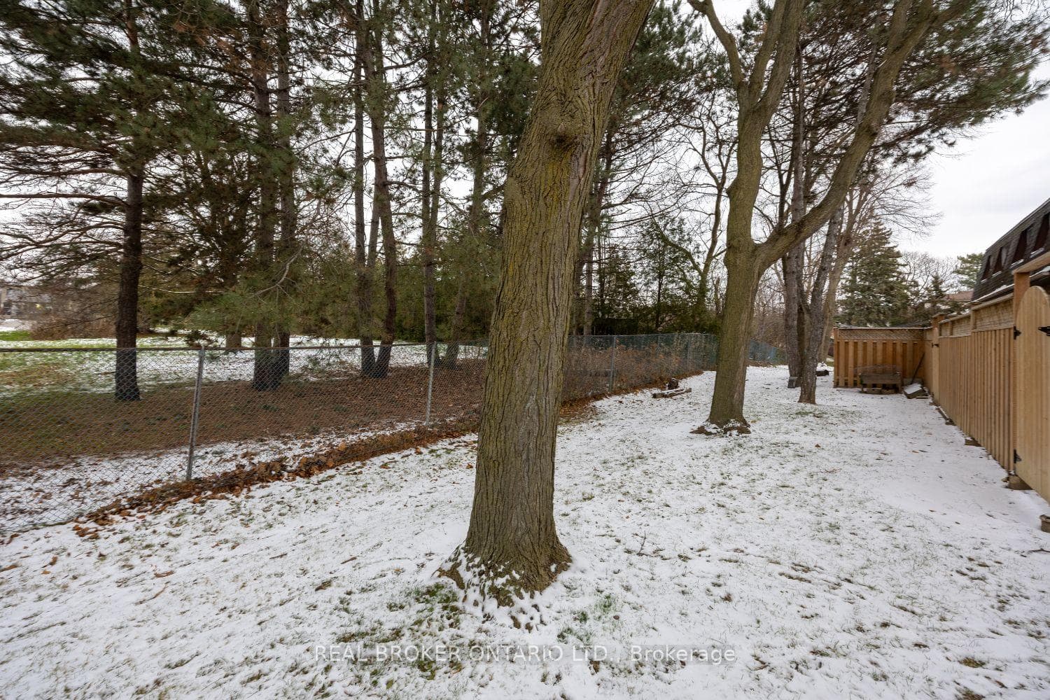 37 Macey Court photo 28