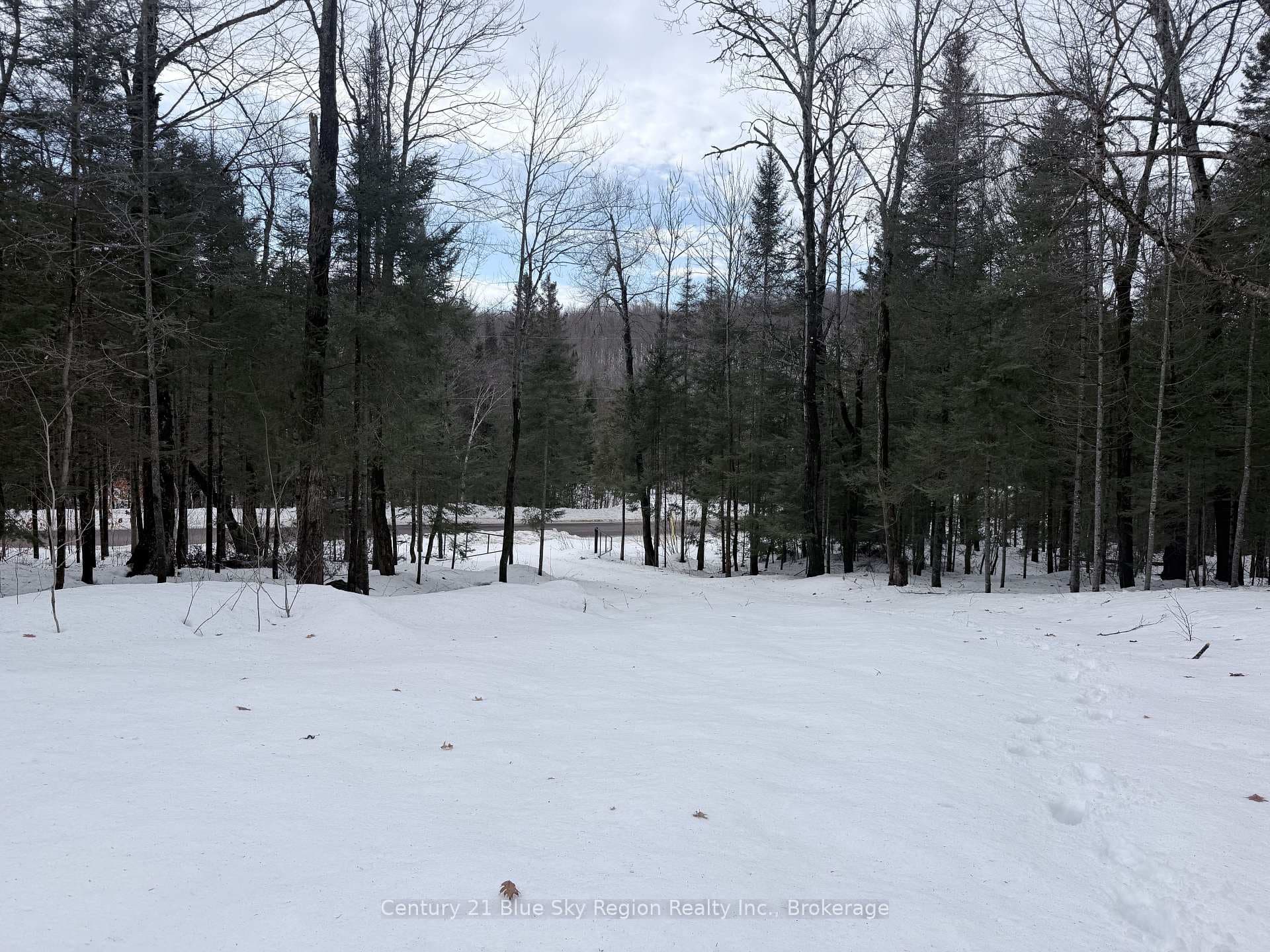 750 Feronia Road photo 5