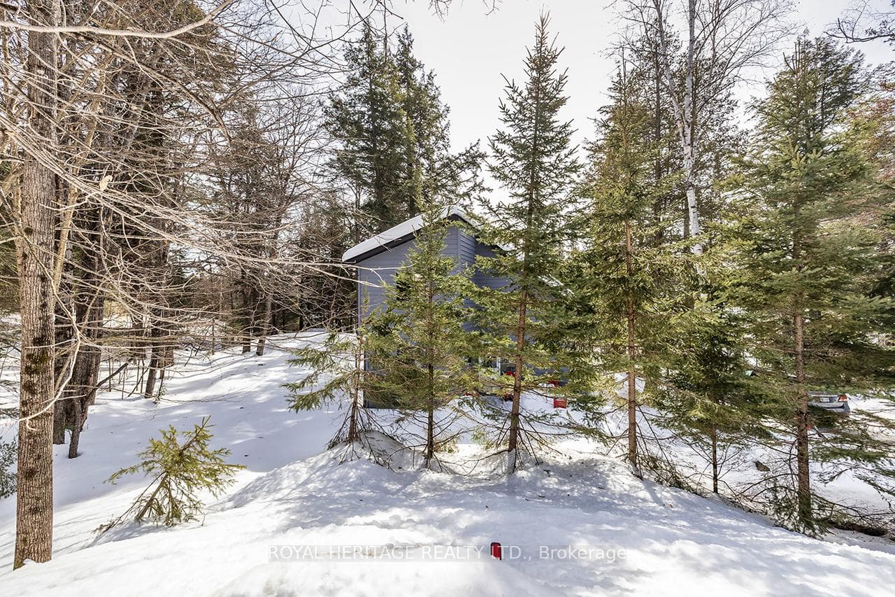 4 PINEDALE Drive photo 41
