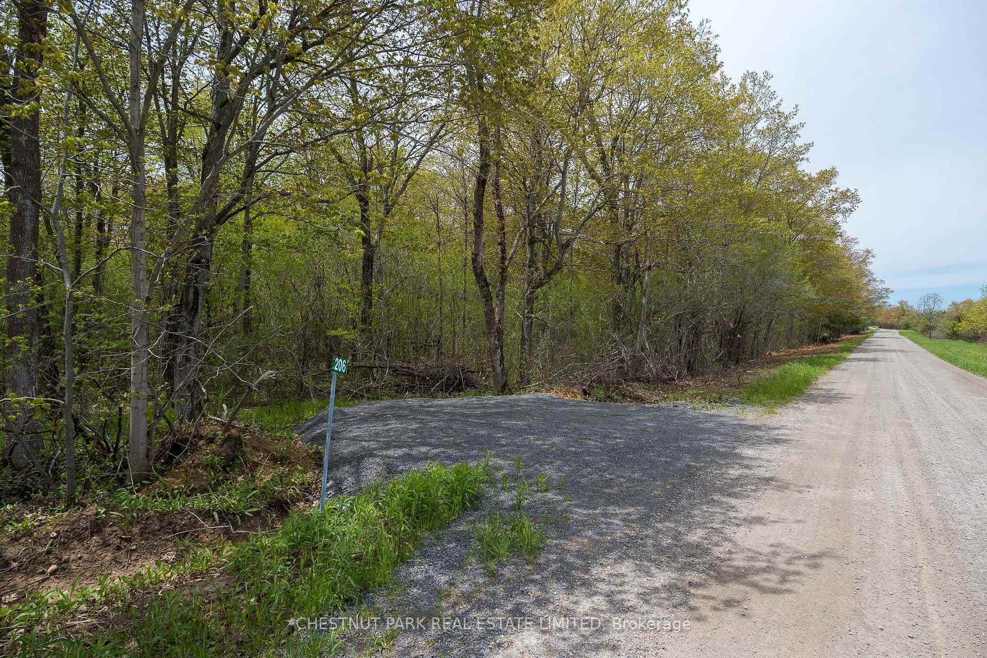206 Simpson Road photo 15