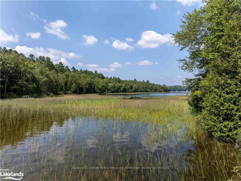 1055 SUMAC Trail photo 41