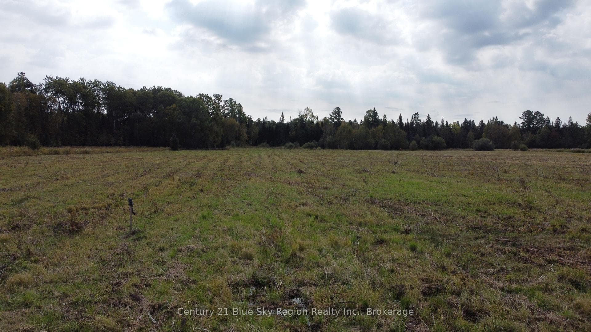 4197 Highway 654 N/A photo 12