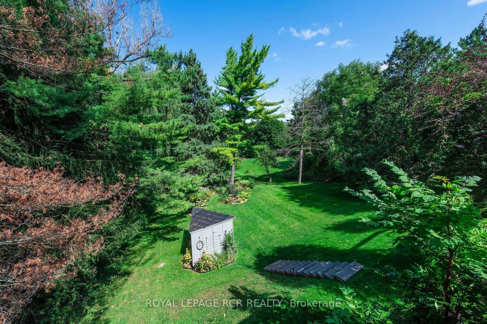 114 Kennedy Road photo 37