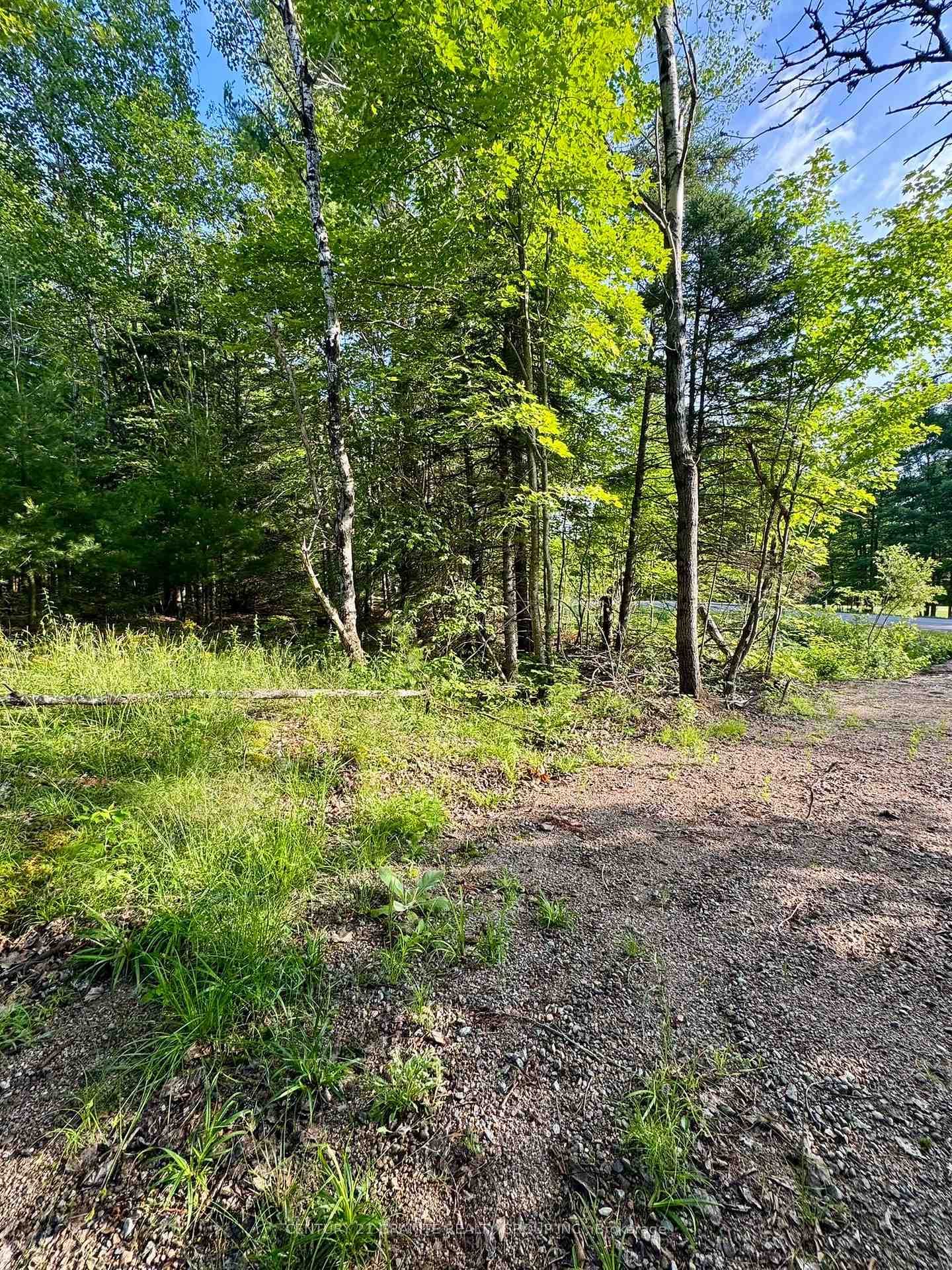 5280 Boulter Road photo 18