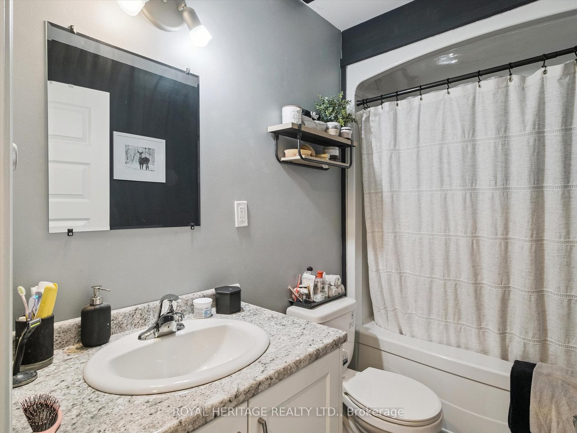 321 David Street photo 36