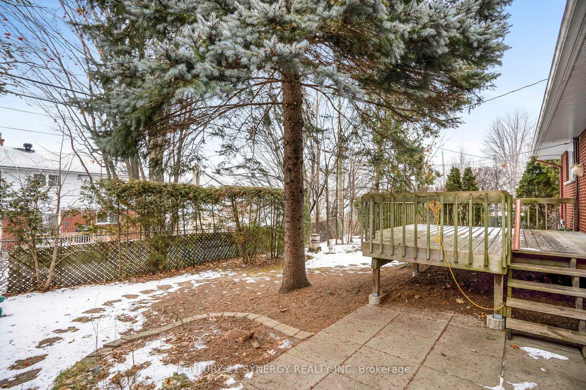 Rear Yard and Deck