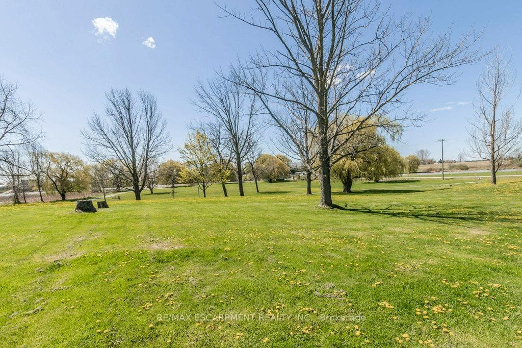 9 Hickory Hollow photo 36