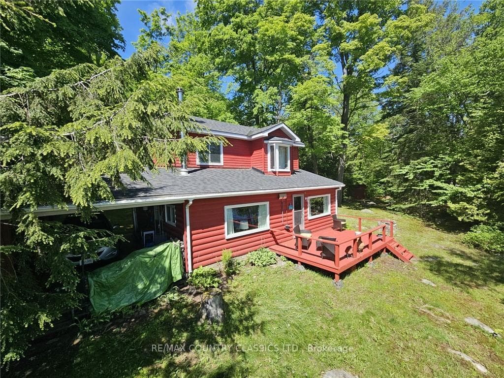 732 KAMANISKEG LAKE Road photo 7