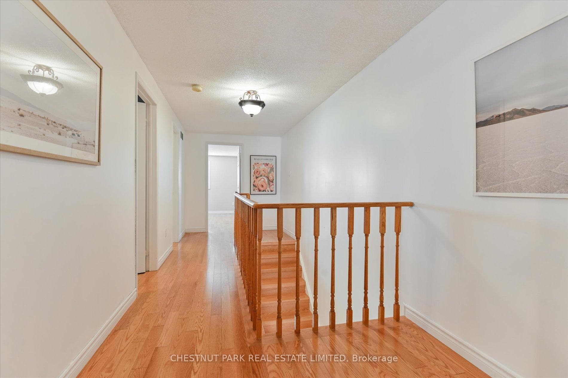 11 Sandmere Avenue photo 13