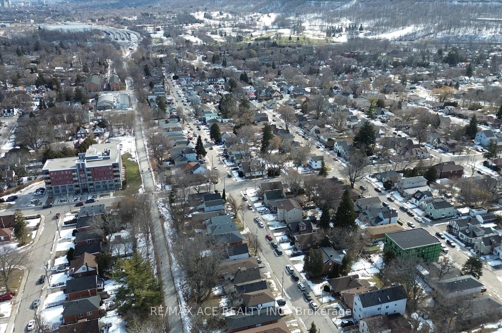 83 Ward Avenue photo 42