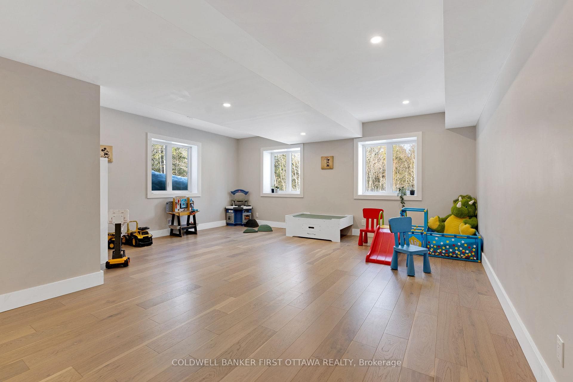 Lower level family room