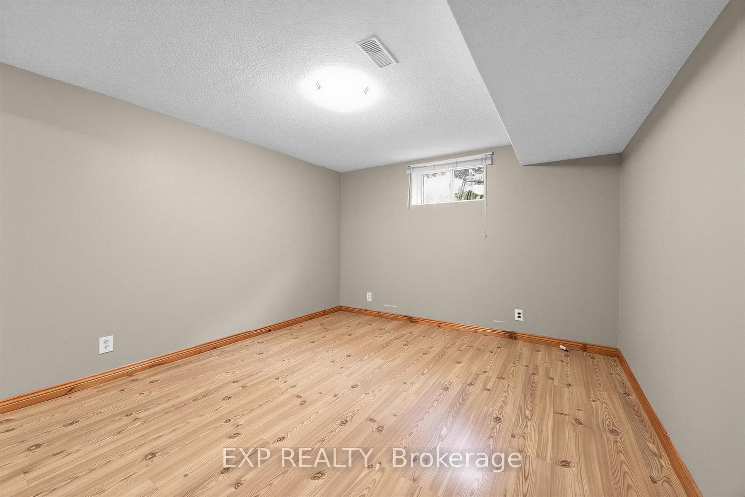 Basement Second Bedroom