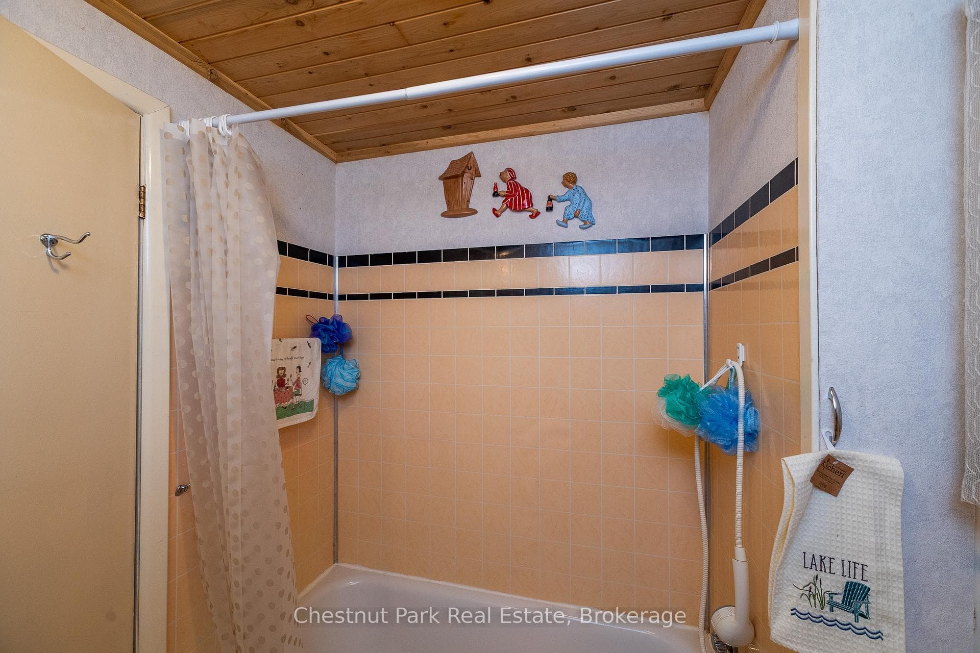41 Simpson Avenue photo 48